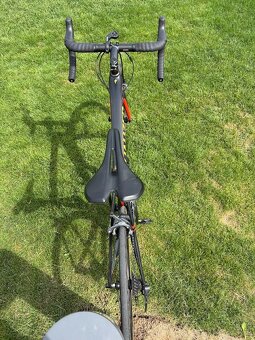 Specialized Tarmac Expert carb/red/hyper grn 2016 - 7