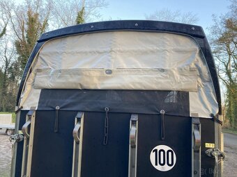 Přepravník na dva koně Bockmann - 7