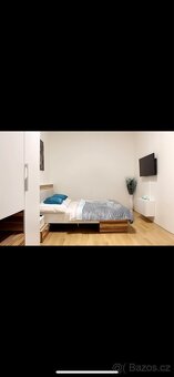 2+1 VINOHRADY, BALKON, CENTRUM - 7