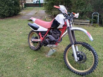 Yamaha XT 600 - 7