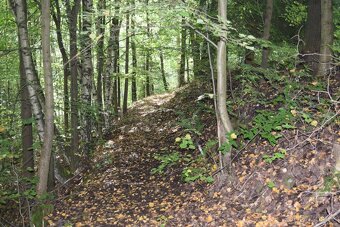 Prodej pozemku v Suchovršicích u Úpice - 7