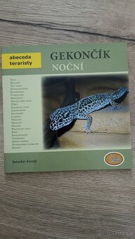 Gekončík noční 2x + terárium - 7