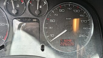 Peugeot 307 - 7