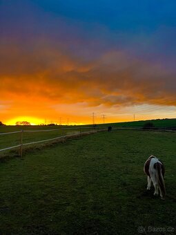 Pastevní ustájení v klidné rodinné stáji od JARA - 7