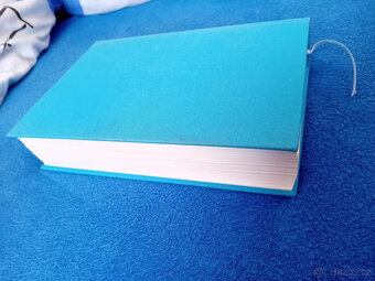 Kafka 1. - Rané roky - Reiner Stach (2016) - 7