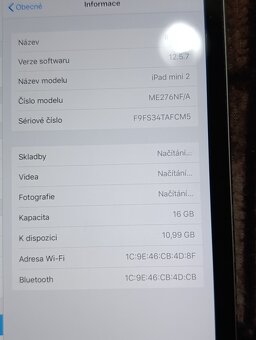 Apple iPad Mini 2 / 16GB / Space Gray - 7