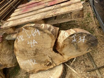 Prodám Dubové koláče - 7