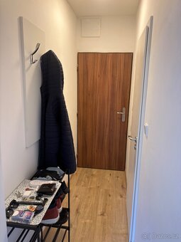 Pronájem 1kk novostavba - 7