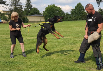 Beauceron štěňata s PP (boseron) – k odběru - 7