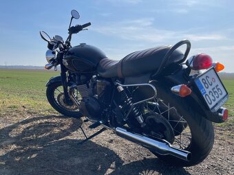 Triumf Bonneville t100 (2015) - 7