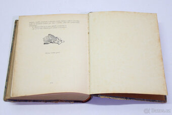 4x Kniha - Romány, válečná liter. a kniha pro děti - 7