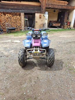 Yamaha varrior 350 - 7