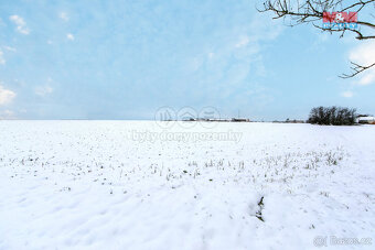 Prodej pole, 12887 m², Pernarec - 7