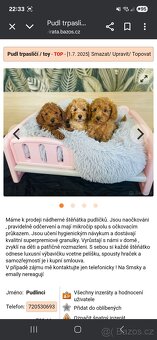 Pudl podvodníci ‼️‼️‼️ Stiahnuté fotky - 7