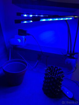 LED lampa na pěstování rostlin – 3 ramena, 27W (LEDmeGrow) - 7