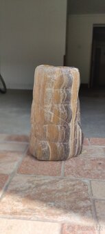 Zkamenělé dřevo – nález Žatecko, 4 kg, pěti barevné - 7