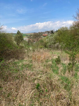 Pronájem (možný i prodej na splátky) 6.917 m2 Jestřabice - 7