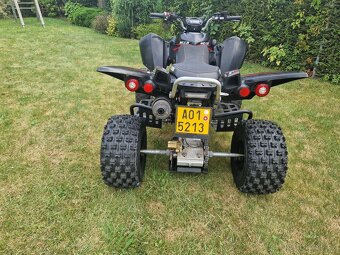 Čtyřkolka Access Tomahawk 400 - 7