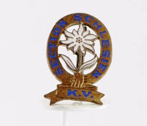 koupím - odznak - 7