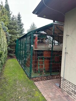 Prodám velkou ocelovou voliéru pro kočky či jiná zvířata - 7