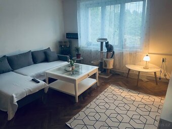 3+1 Chrudim - 7