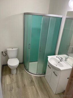 Pronájem 1+kk Trhové Sviny - 7