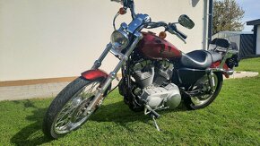 Harley Davidson XL 883 Sportster Custom - 7