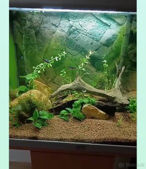 Akvarijní set AQUATLANTIS IP X7 (120l) - 7