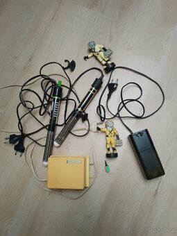 Obrazy, akvaristika - 7