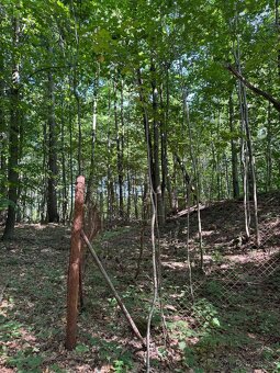 Prodej lesního pozemku v k.ú. Liberk - 7