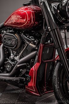 2021 Harley Davidson Softail Custom - 7