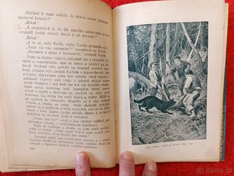 PRALES - Antonín Bašta - 7