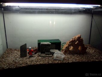Akvárium Diversa 200L - 7