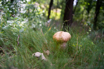 Objektiv SMC Pentax-M Zoom 28–50mm f/3.5–4.5 – kompaktní kov - 7