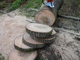 JASAN - VYSCHLÉ (XL) koláče na stolky, sezení - 7