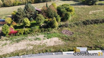 Prodej stavebního pozemku 1001m2,Družec, ev.č. 00395 - 7