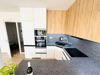 Pronájem bytu 2+kk 70m²,v lokalitě Milana Ticháka Vila Park - 7