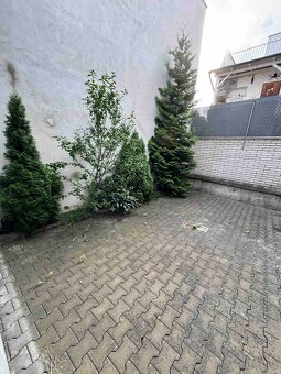 Pronájem bytu 1KK s terasou, Brno- Hálkova - 7