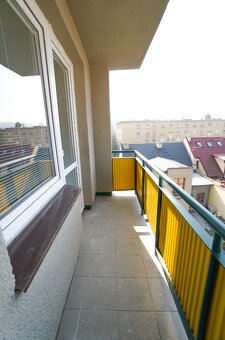 Pronájem bytu 1+1 42 m² Nivy I - 7