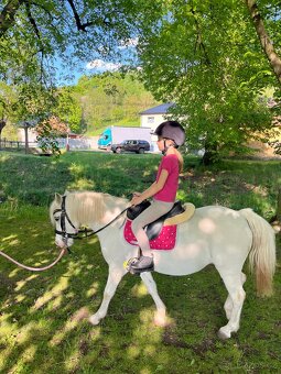 Líbivá pony klisna - 7