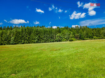 Prodej louky, 5551 m², Nové Mitrovice - 7