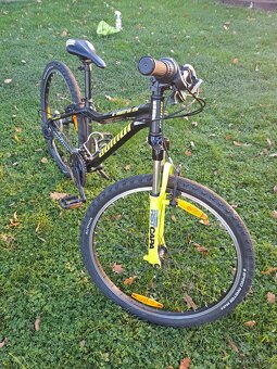 Author matrix 26 - 7