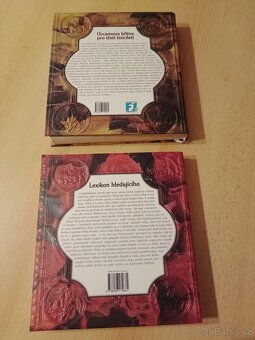 Nová encyklopedie Bible, Duchovní slovník vodnářského věku - 7