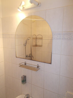 PRONÁJEM APARTMÁNU - 7