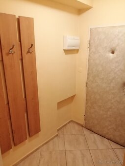 Pronájem 1+1, ulice Merhautova, Černá Pole, 35 m2 - 7