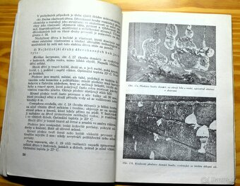 Knihy o ochraně dřeva - 7