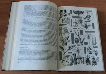 Zahrada Čtyři roční období / naše zahrádka - 7