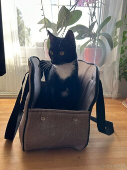Prodám tašku na malého psa/kočku O LALA PETS QUEEN - 7
