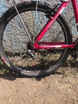 Leader Fox Maxim Lady MTB vel. 18 - 7
