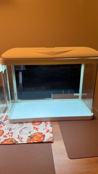 Prodám akvária/krevetkária - 7